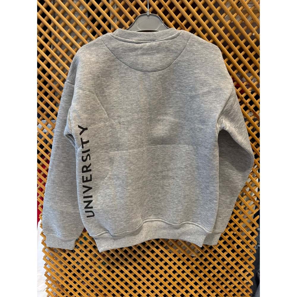 16213 ÇOCUK İÇİ ŞARDONLU ÖNÜ ARKASI BASKILI SWEAT