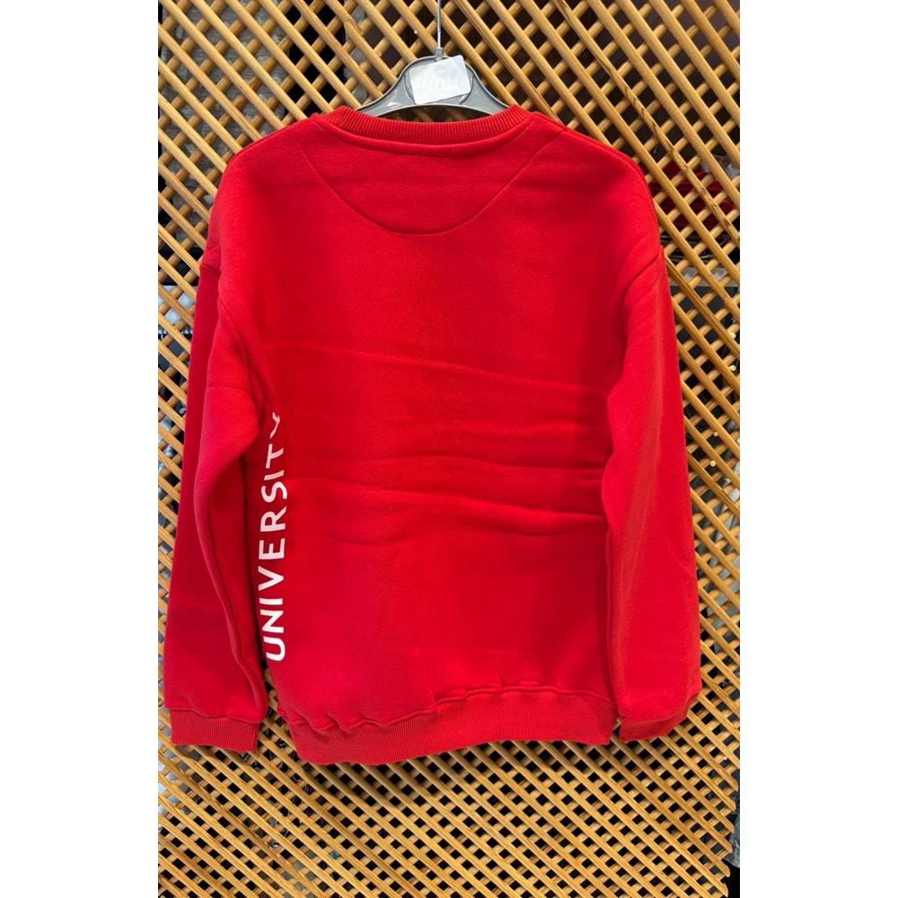 16213 ÇOCUK İÇİ ŞARDONLU ÖNÜ ARKASI BASKILI SWEAT