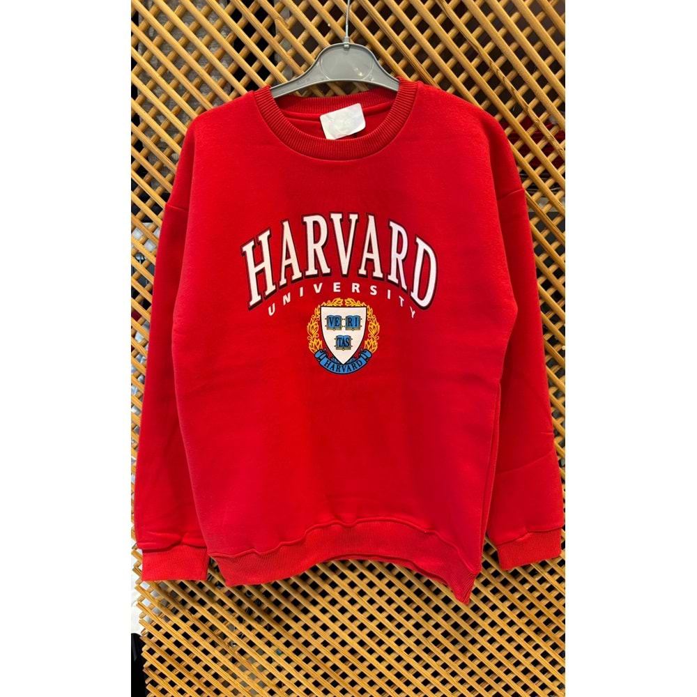 16213 ÇOCUK İÇİ ŞARDONLU ÖNÜ ARKASI BASKILI SWEAT