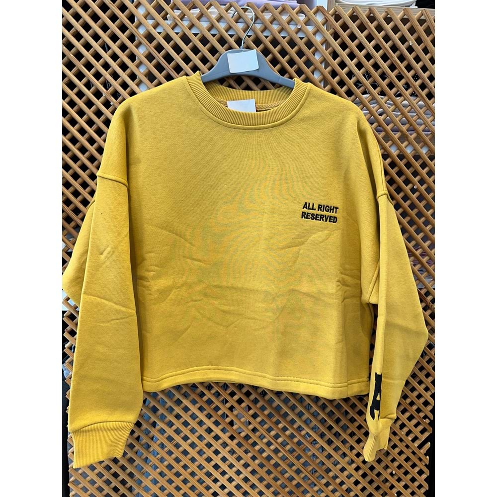 124247 ÇOCUK KOLU APLİKELİ İÇİ ŞARDONLU OVERSİZE SWEAT