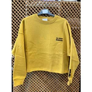 124247 ÇOCUK KOLU APLİKELİ İÇİ ŞARDONLU OVERSİZE SWEAT