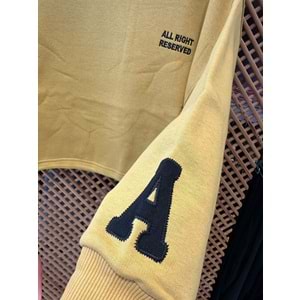 124247 ÇOCUK KOLU APLİKELİ İÇİ ŞARDONLU OVERSİZE SWEAT