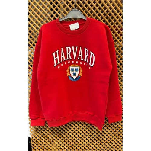 16213 ÇOCUK İÇİ ŞARDONLU ÖNÜ ARKASI BASKILI SWEAT