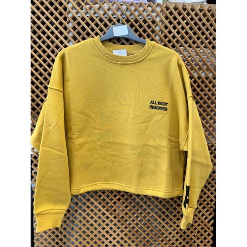 124247 ÇOCUK KOLU APLİKELİ İÇİ ŞARDONLU OVERSİZE SWEAT