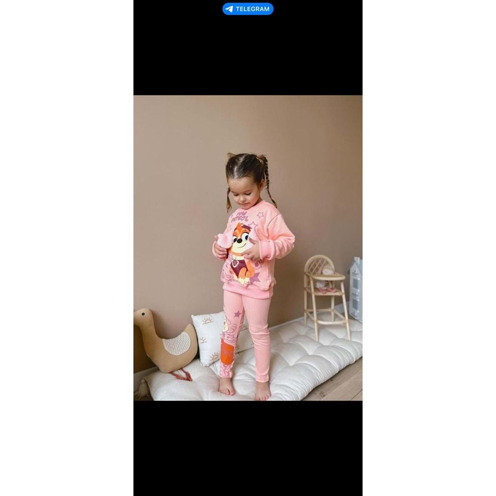 6918 PAW PETROL 3/10