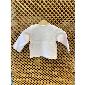 2466 BEBEK UZUN KOLU BADİ