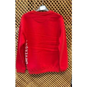 16213 ÇOCUK İÇİ ŞARDONLU ÖNÜ ARKASI BASKILI SWEAT
