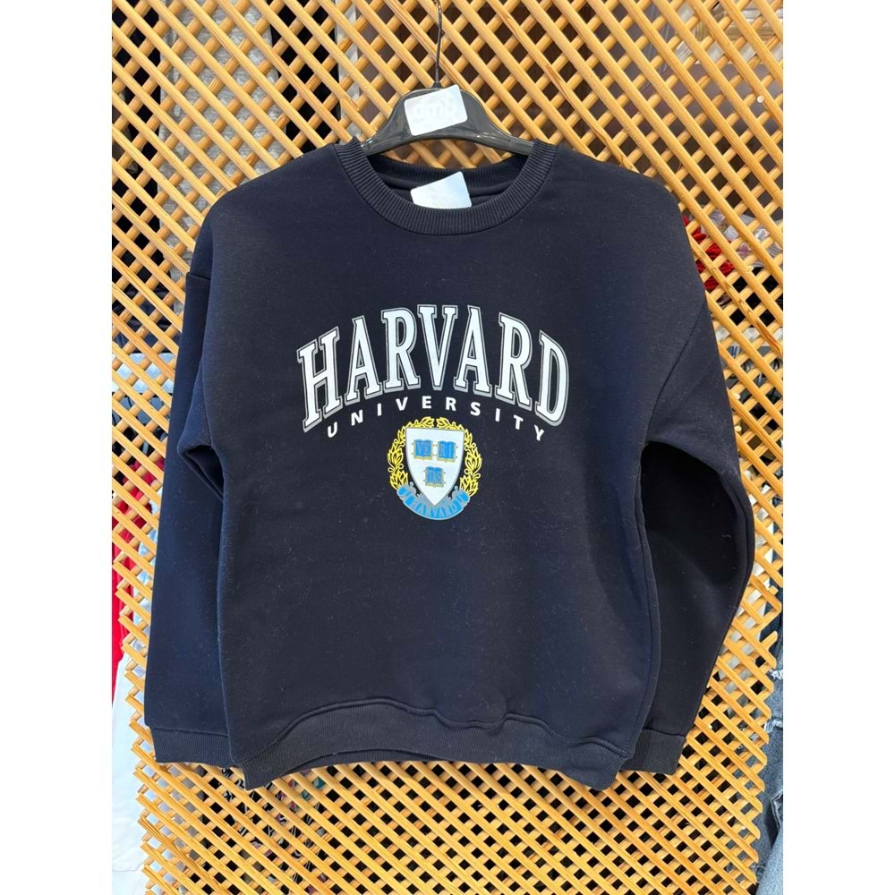 16213 ÇOCUK İÇİ ŞARDONLU ÖNÜ ARKASI BASKILI SWEAT